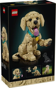LEGO Icons — Cachorro de Golden Retriever (11384)