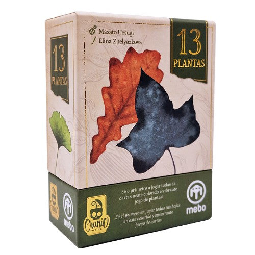 13 PLANTAS